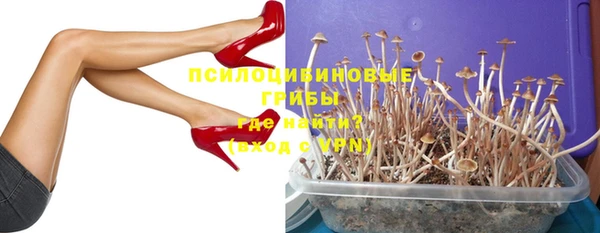 ECSTASY Кулебаки