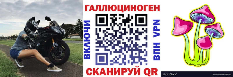 кракен рабочий сайт  Муравленко  Псилоцибиновые грибы Cubensis 