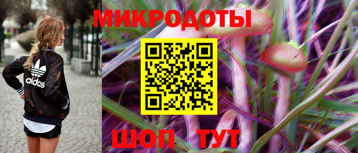 Псилоцибиновые грибы Cubensis Муравленко